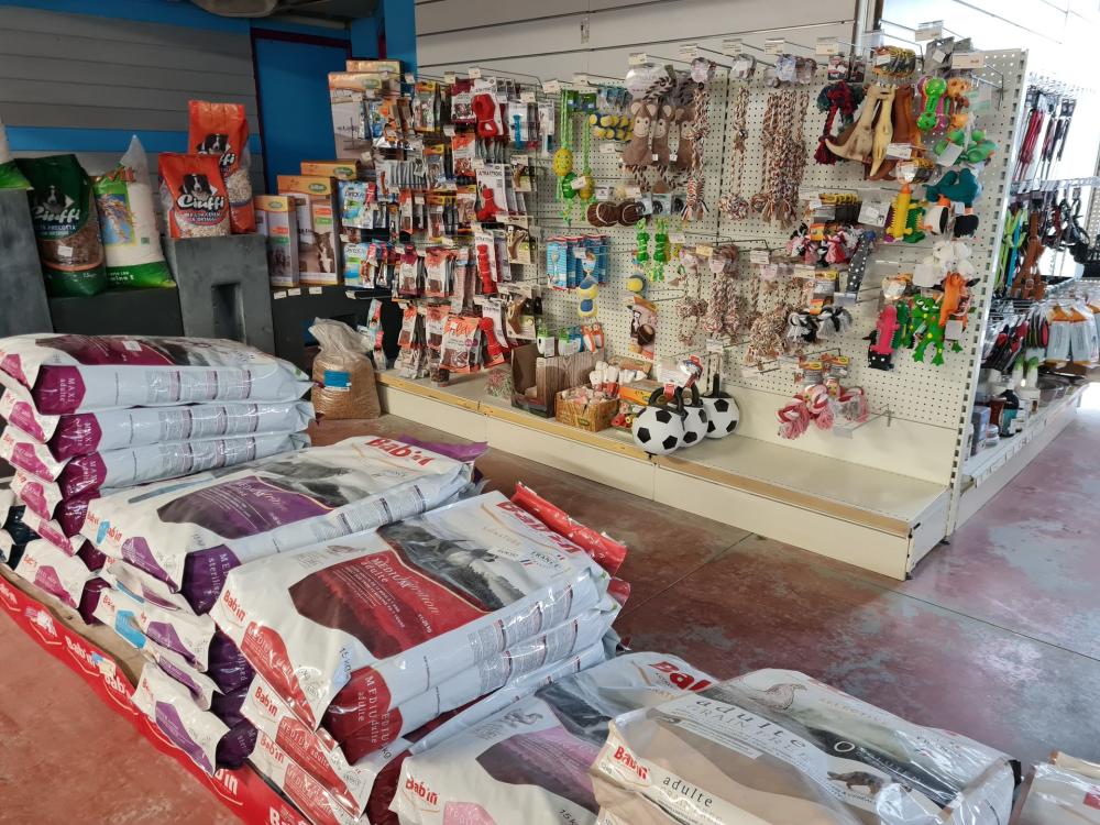 Accessoire animaux à Marennes-Hiers-Brouage