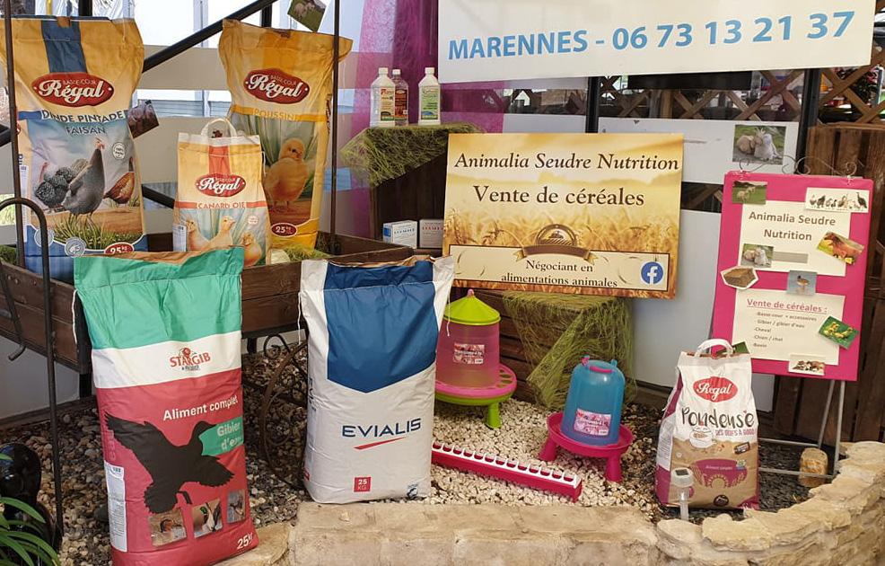 nourriture-accessoires-poules